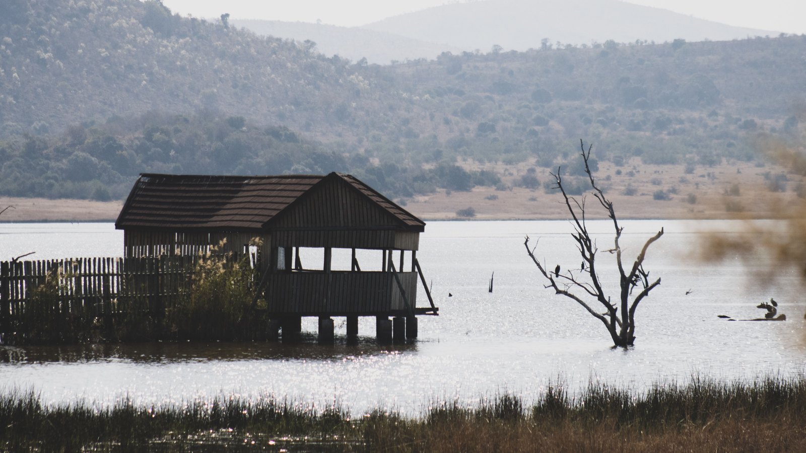 Cabane sur l'eau au bord d'un étang