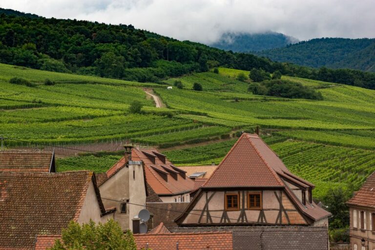 Chalet Lahô - Nature et Spa