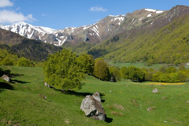 Aire d'accueil de la Tranquillité