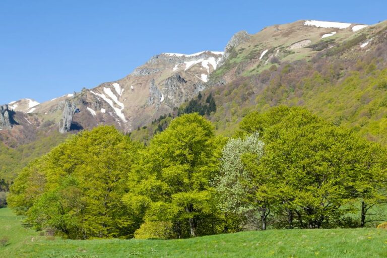 Aire d'accueil et de services