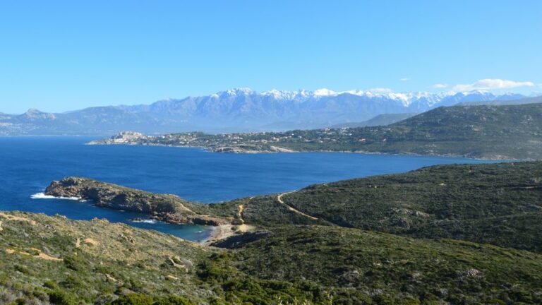 Balanea