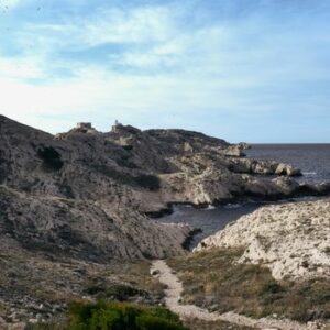 Bonifacio
