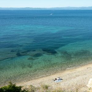 Corse