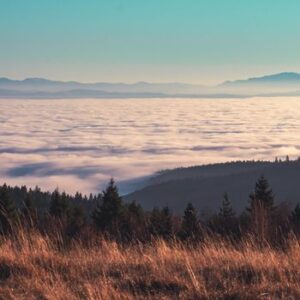 Massif des Vosges