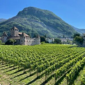 Route des vins