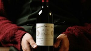 Les vignobles de Saint-Émilion