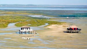 L'île aux Oiseaux et ses cabanes tchanquées