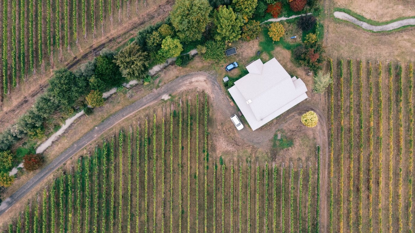 Chambre d'hôtes au cœur d'un domaine viticole entouré de vignes