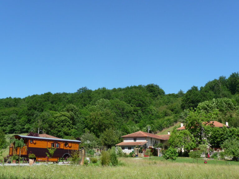 AU COEUR DU BOIS