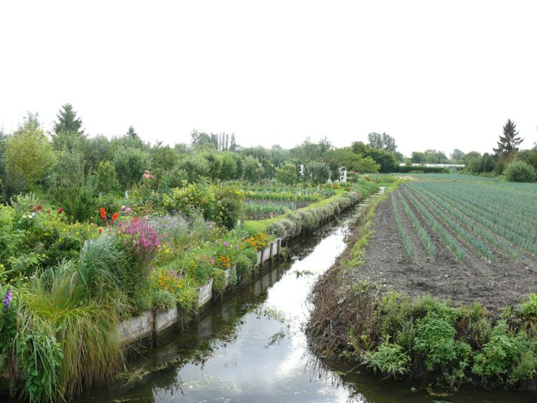 Hortillonnages d’Amiens