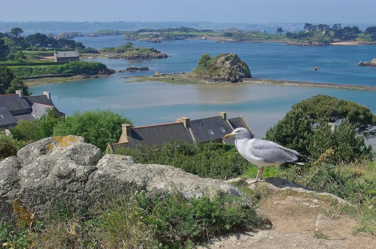 Île de Bréhat