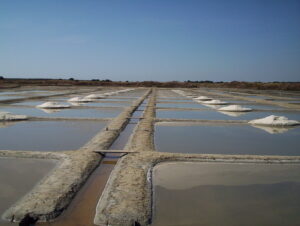 Marais salants de Guérande