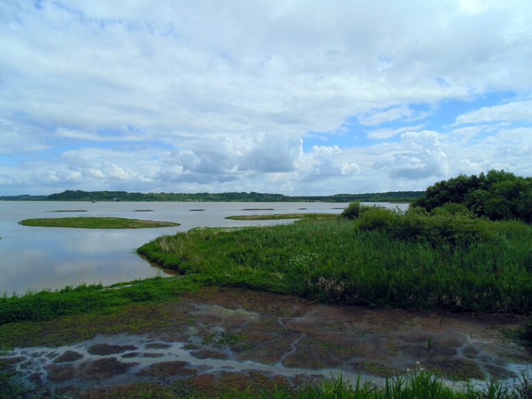 Réserve naturelle du Marais d’Orx