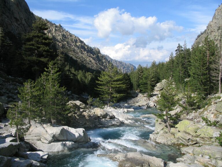 Vallée de la Restonica