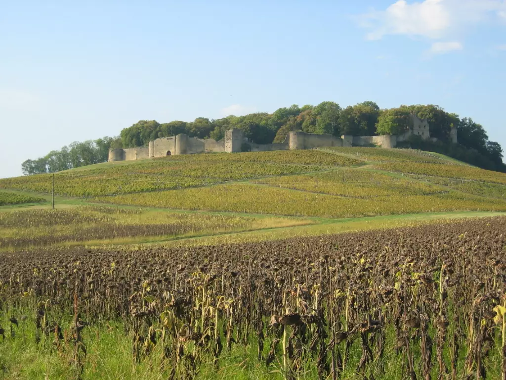 Vue de Arlay