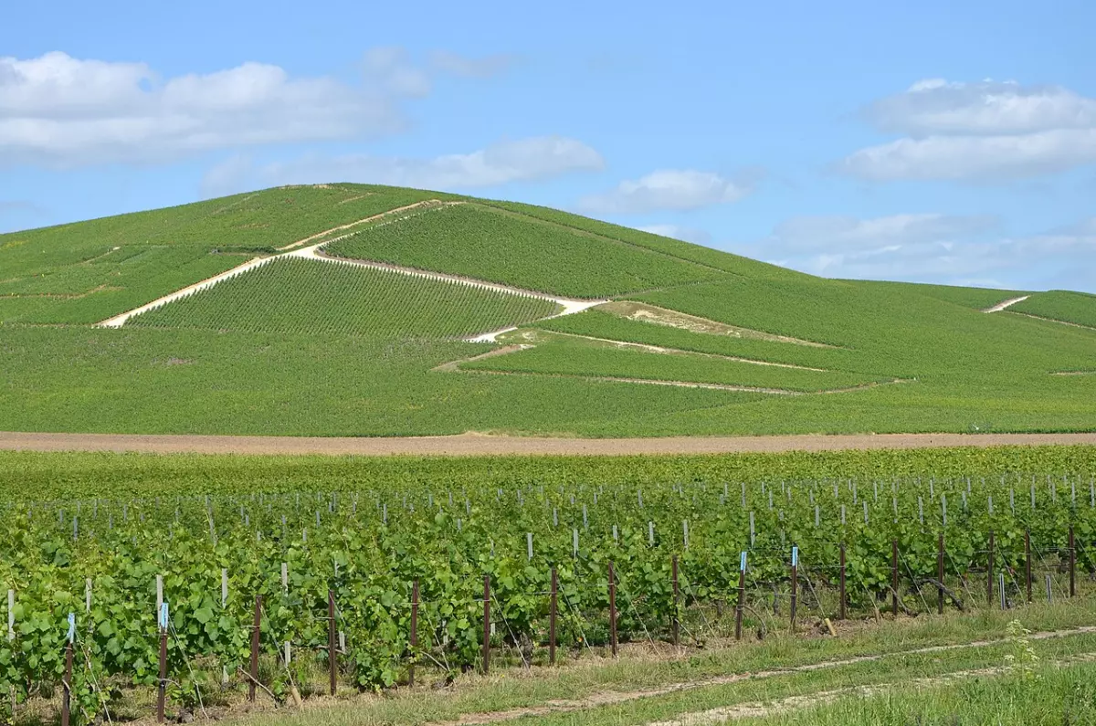 Vue de Aÿ-Champagne