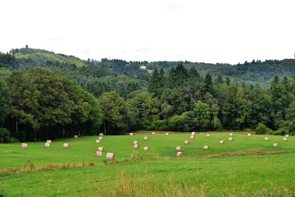 Vue de Bonnac-la-Côte