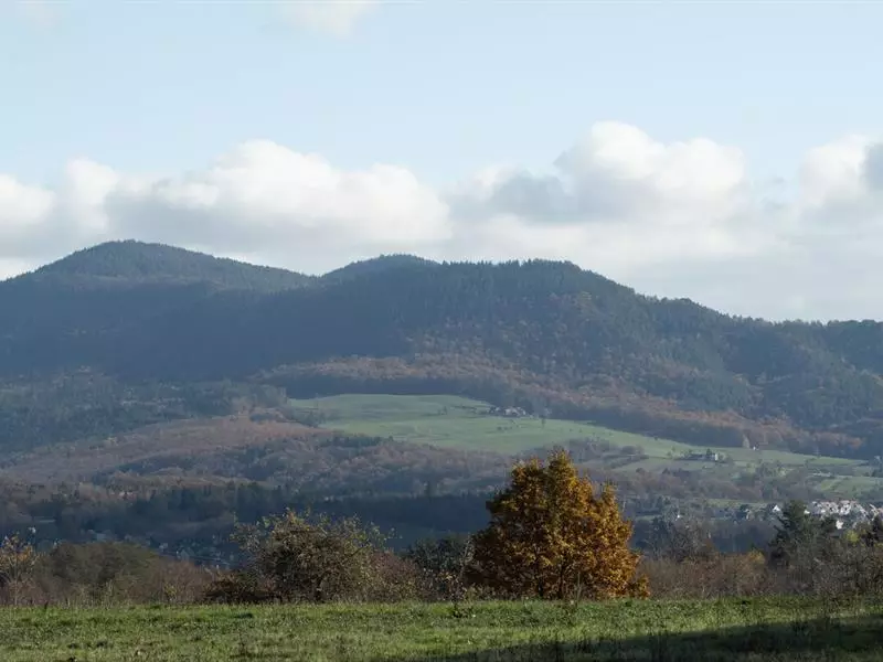 Chambre d’hôtes Tribord